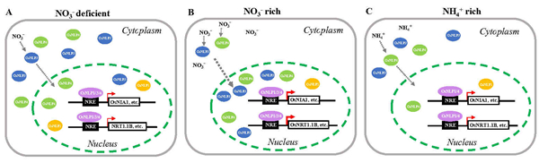 Figure 9.jpg